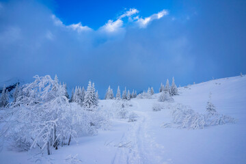 Fototapeta na wymiar A magnificent mountain landscape with snow-covered trees. Tatra National Park. Poland.