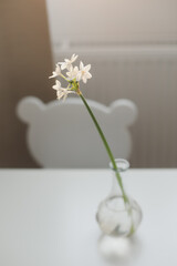 daffodil spring flowers on the table on a sunny background. spring vibes