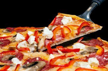 Marino pizza slice, on a kitchen spatula