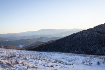 Fototapeta na wymiar Snowy Winter Day at Roan Mountain on the North Carolina Tennessee Border