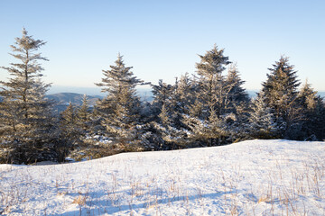 Snowy Winter Day at Roan Mountain on the North Carolina Tennessee Border