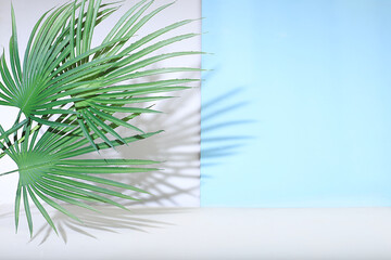 Empty showcase for display or presentation of cosmetic products, scene for design, abstract background with palm leaves and shadows, modern creative display,
