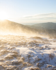 Snowy Winter Sunrise at Roan Mountain on the North Carolina Tennessee Border