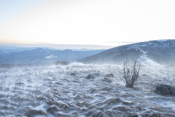 Snowy Winter Day at Roan Mountain on the North Carolina Tennessee Border