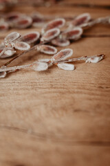 Winter zu Frühling - lange rote Kätzchen auf Holz,
Hintergrund für Sprüche und Texte