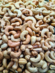 The cashew nut is the fruit of the cashew tree