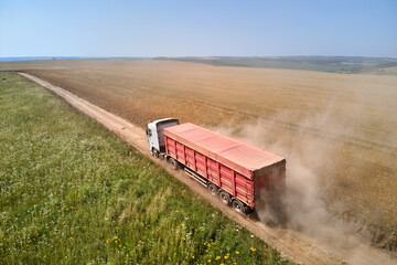 Aerial view of cargo truck driving on dirt road between agricultural wheat fields making lot of...