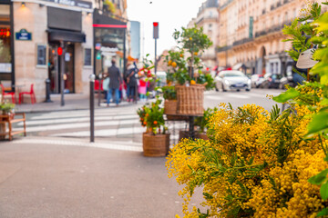 Fototapeta premium General street view from Paris, the French capital