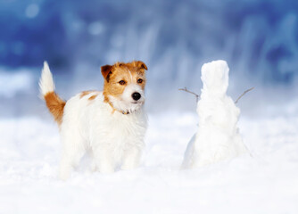 Cute happy calm pet dog puppy looking in the snow with a snowman in winter. Christmas, holiday concept.