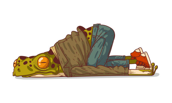 Exhausted humanized frog, vector illustration. Tired anthropomorphic frog, lying powerless on the ground, with his hands by his sides. An animal character with a human body.