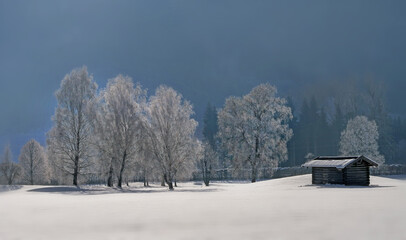 Hütte und Bäume im Rauhreif - hut and trees in frost