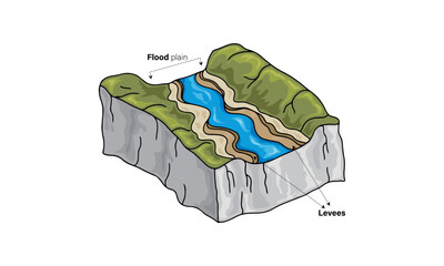 Flood Plain and Levees Formation, Detailed Vector Illustration of Hydrology and Civil Engineering Concepts on White Background for Environmental Education and Research.