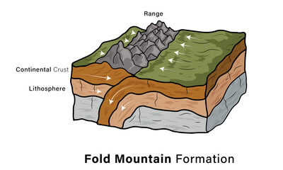 Fold Mountain Formation, Detailed Vector Illustration of Geology and Earth Science Concept, Tectonic Plate Movement and Mountain Building, White Background.