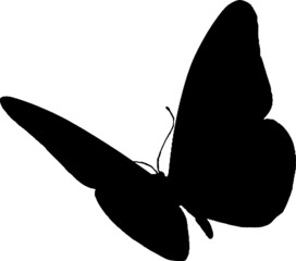 butterfly EPS, butterfly Silhouette, butterfly Vector, butterfly Cut File, butterfly Vector