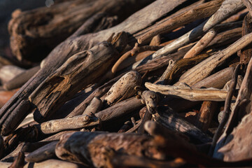 Driftwood on La Push Beach, Olympic National Park!
