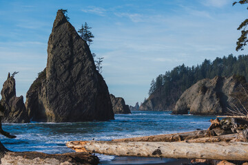 Naklejka premium La Push Beach, Olympic National Park!