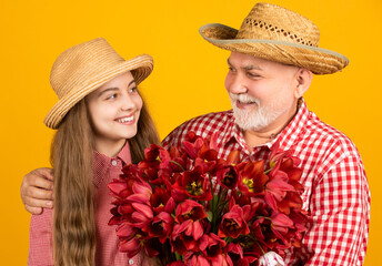 happy old grandfather with granddaughter hold tulip flowers. anniversary present.