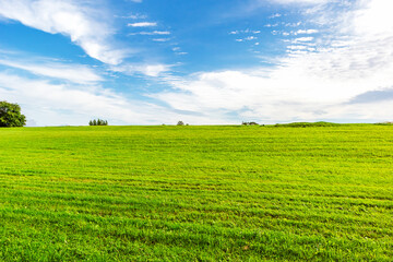 Green grass field and blue sky. Bright sunny summer day.