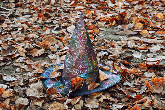 The witch's hat rests on the dry autumn leaves, halloween, games and entertainment. Lone hat lying on the ground
