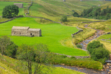 Keld in Upper Swaledale, Yorkshire Dales, UK with stone barns or cow houses, Rowan Tree and the River Swale running through this beautiful dale.  Horizontal.  Copy space.