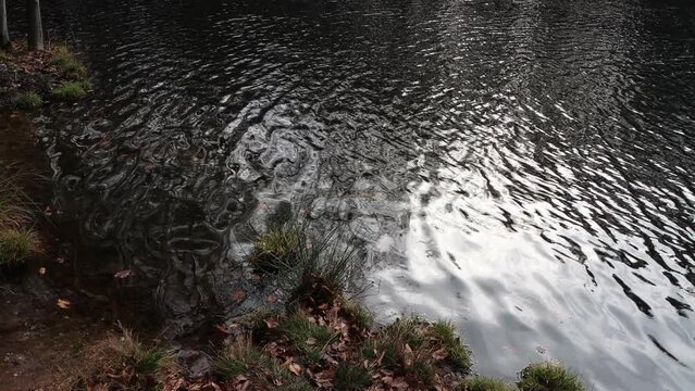 Silbersee im Naturpark Kottenforst-Ville, Nordrhein-Westfalen, Deutschland, Br&uuml;hl