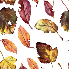 Autumn leaves in watercolor, seamless pattern for printing on fabric or paper. - 484745609