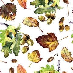 Acorns on an autumn oak branch, autumn leaves, seamless watercolor pattern. - 484745610