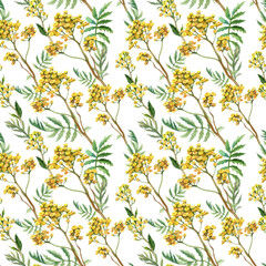Yellow wildflowers handmade drawing. Watercolor seamless pattern with summer flowers. - 484745612
