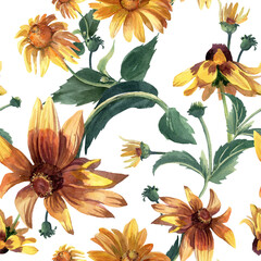 Watercolor seamless pattern with summer flowers. Large rudbeckia flowers, elegant pattern. - obrazy, fototapety, plakaty