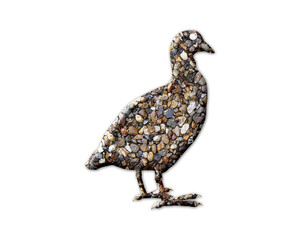 Fototapeta na wymiar Duck Bird Stones Icon Logo Symbol illustration