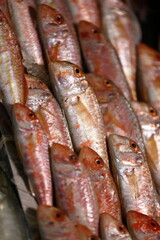 fish market crowded fish varieties.