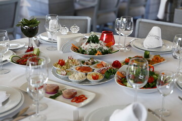 Vegan feed with different herbs and tomato salad.
