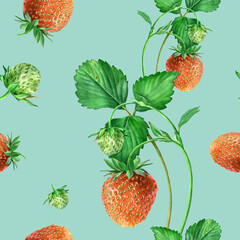 Watercolor seamless strawberry pattern. Strawberry garden, botanical illustration, pattern of bushes and berries. - 484746001