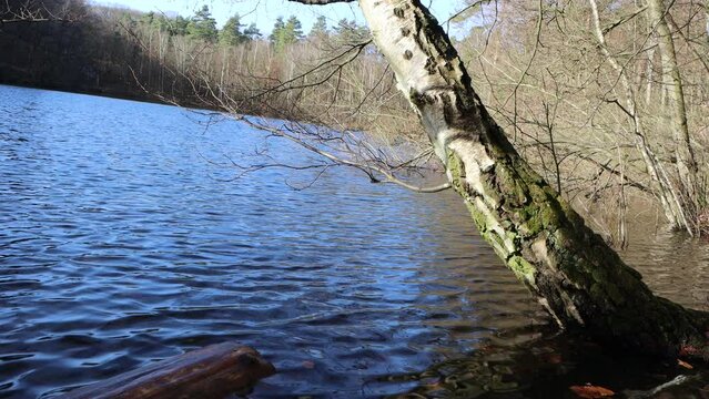 Silbersee im Naturpark Kottenforst-Ville, Nordrhein-Westfalen, Deutschland, Br&uuml;hl