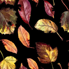 Autumn leaves in watercolor, seamless pattern for printing on fabric or paper. - 484746401