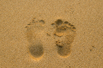 footprints