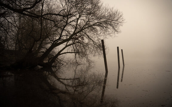 Sunset in fog down the Weser River in Bremen, Germany. Some poles leading towards horizon into mist under wheeping willow trees in winter time.
