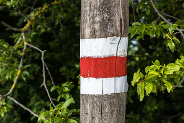 Detail of red striped hiking mark, Slovakia.