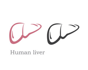human liver icon