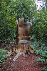 Tree stump carved into a chair
