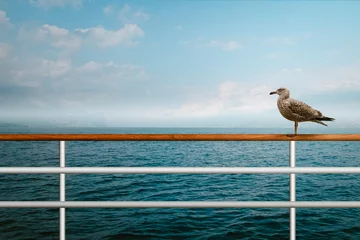 Deurstickers Möwe steht auf Kreuzfahrt Schiff Reling, Maritimer Hintergrund © Dominik Neudecker