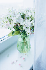 vase with white flowers on the window sill