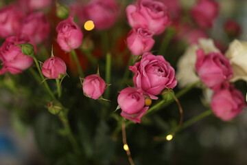 Obraz premium roses