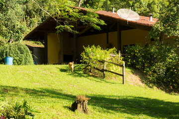 Casa da fazenda setor rural. Casa amarela com telhado de barro no meio da vegetação e terreiro...