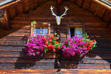 Fototapety na wymiar - Fototapeta24.pl