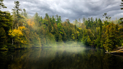 Obraz premium autumn forest in the morning