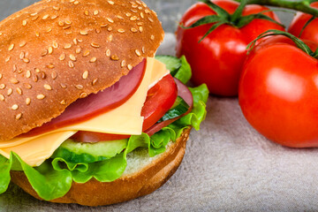 Hamburger on a bun with sesame seeds, with cheese, ham, tomatoes, cucumbers and fresh herbs, on a background of fresh tomatoes