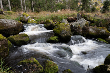 Stream in the middle of forest, CZ: Hamersky potok, Sumava national park, Czech republic