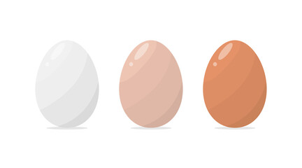 Chicken eggs with different shade of shell set