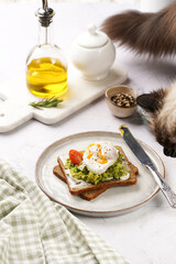 Ragdoll cat smelling on trendy lifestyle sandwich: protein bread slice with cream cheese, mashed avocado, cherry tomatoes and poached egg on white scandi plate, light setting